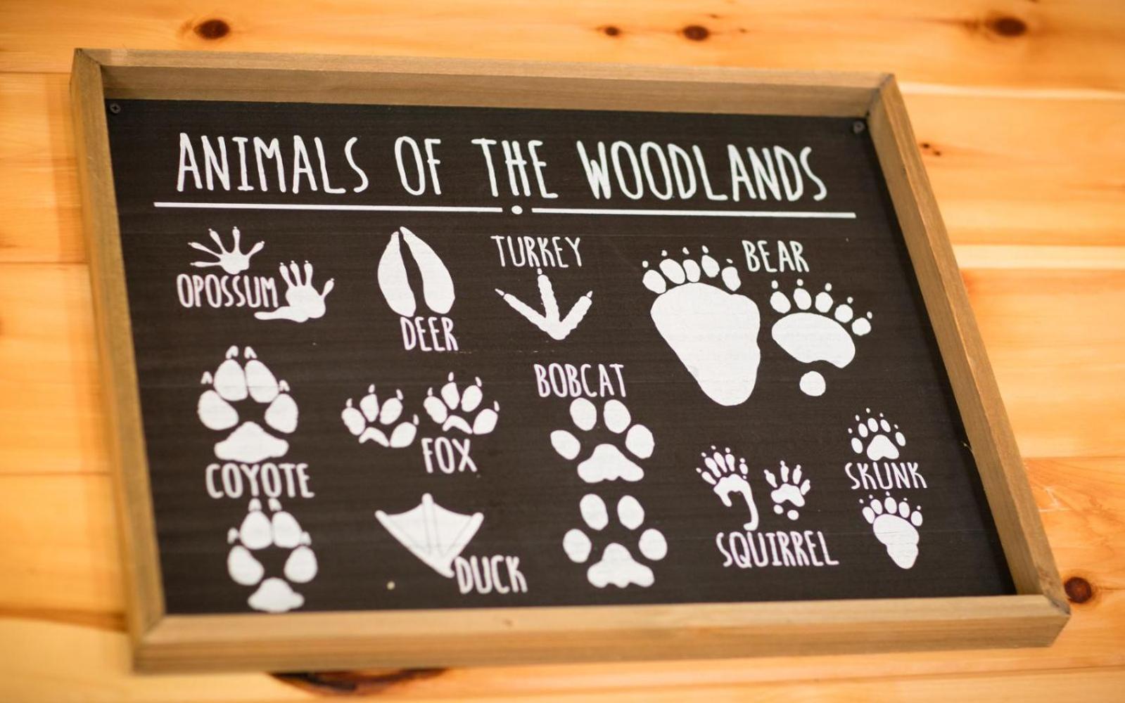 Villa Lifes A Bear Gatlinburg Esterno foto