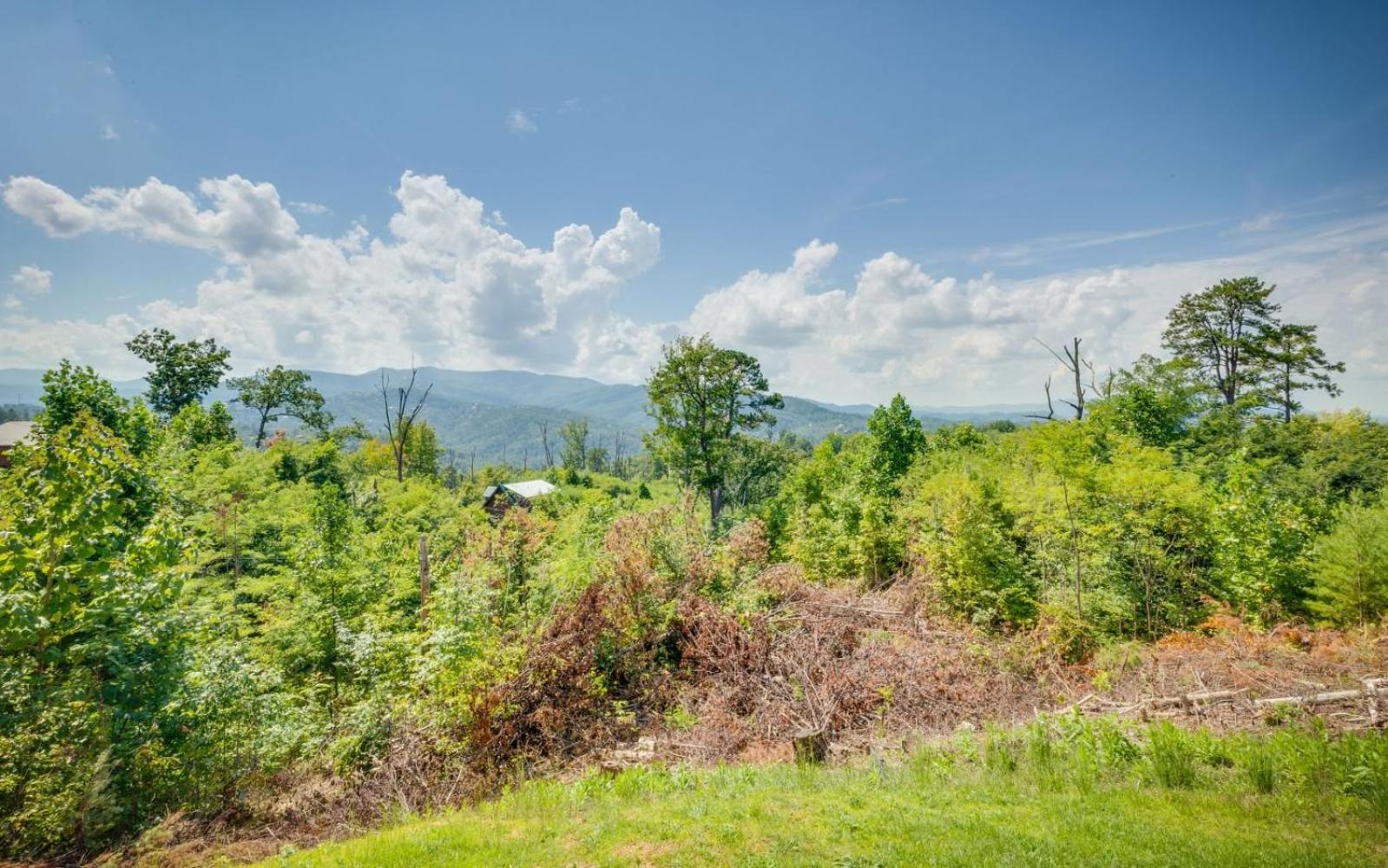 Villa Lifes A Bear Gatlinburg Esterno foto