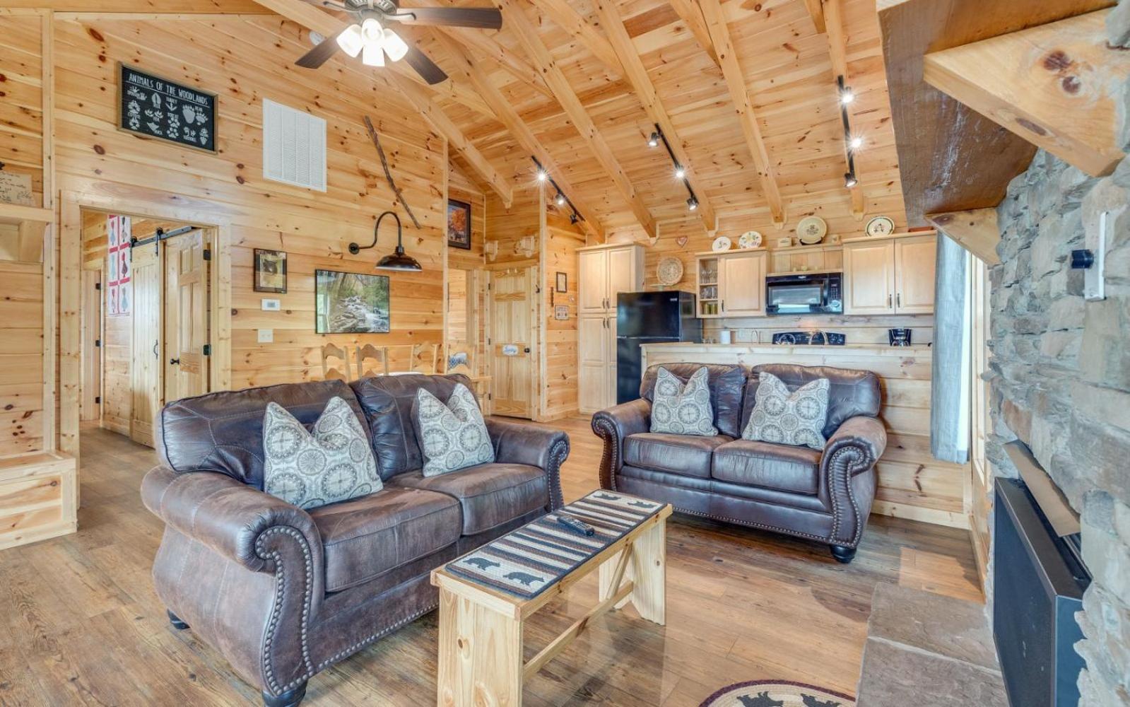 Villa Lifes A Bear Gatlinburg Esterno foto